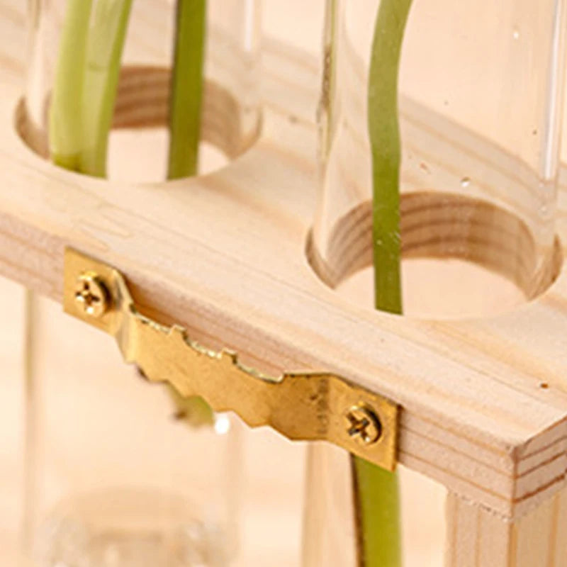 Creative Hydroponic Plants Container with Wooden Frame and Glass Test Tubes