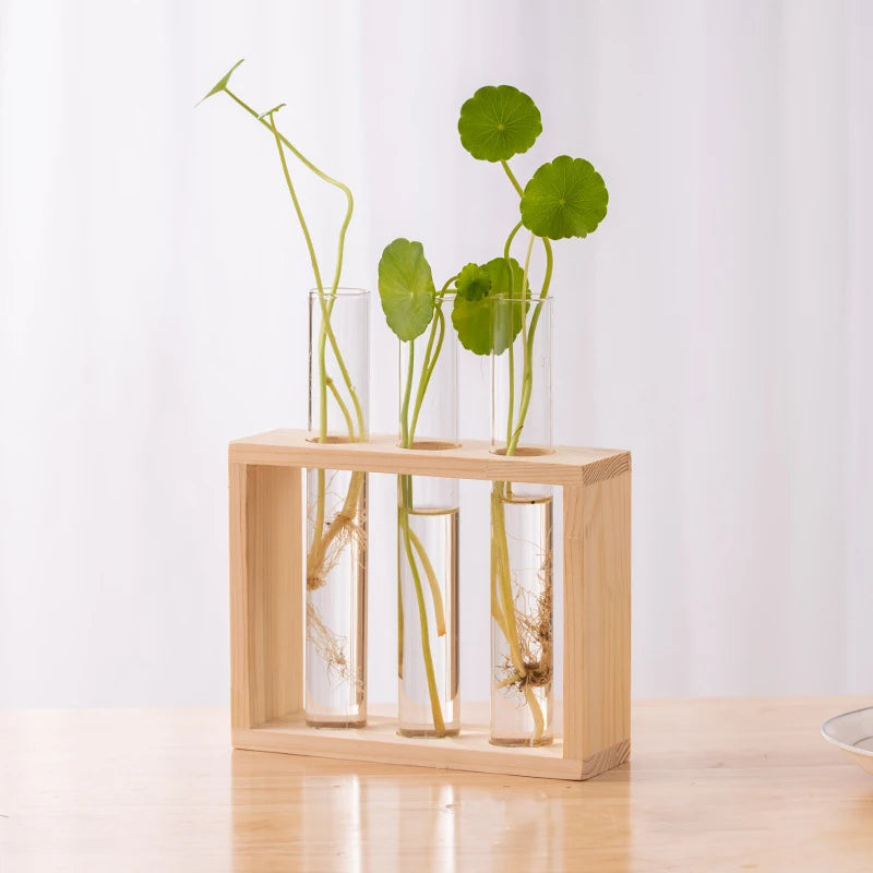 Creative Hydroponic Plants Container with Wooden Frame and Glass Test Tubes