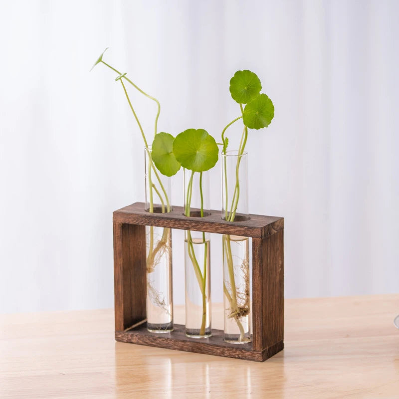 Creative Hydroponic Plants Container with Wooden Frame and Glass Test Tubes