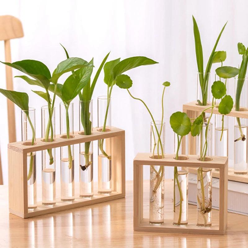 Creative Hydroponic Plants Container with Wooden Frame and Glass Test Tubes