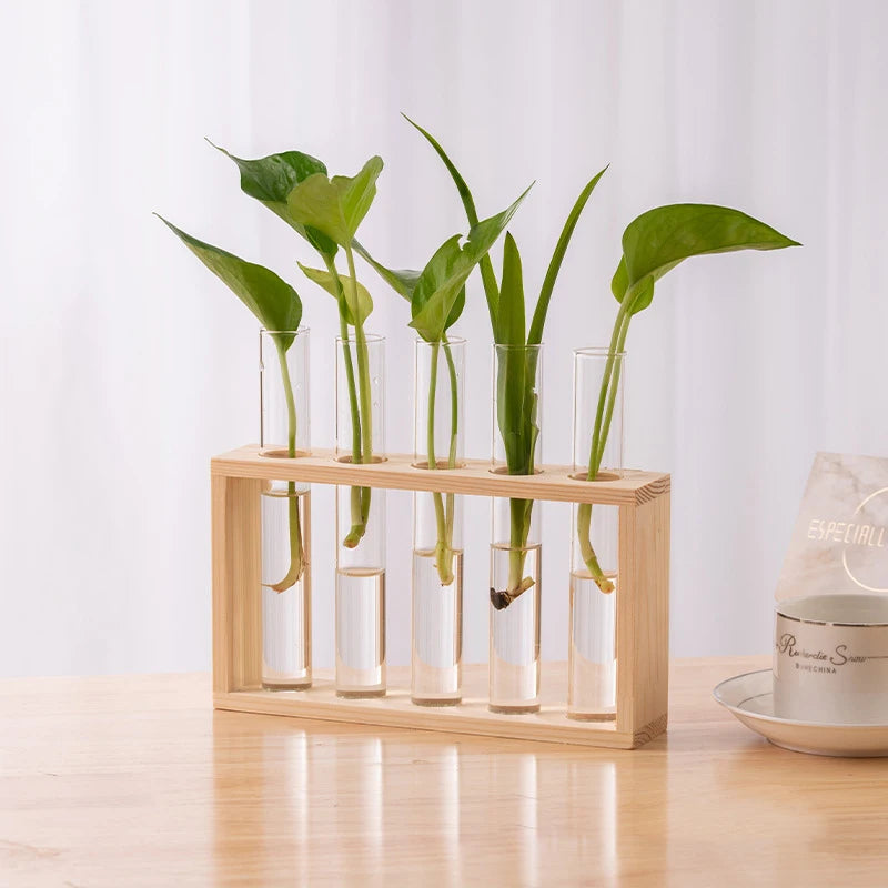 Creative Hydroponic Plants Container with Wooden Frame and Glass Test Tubes