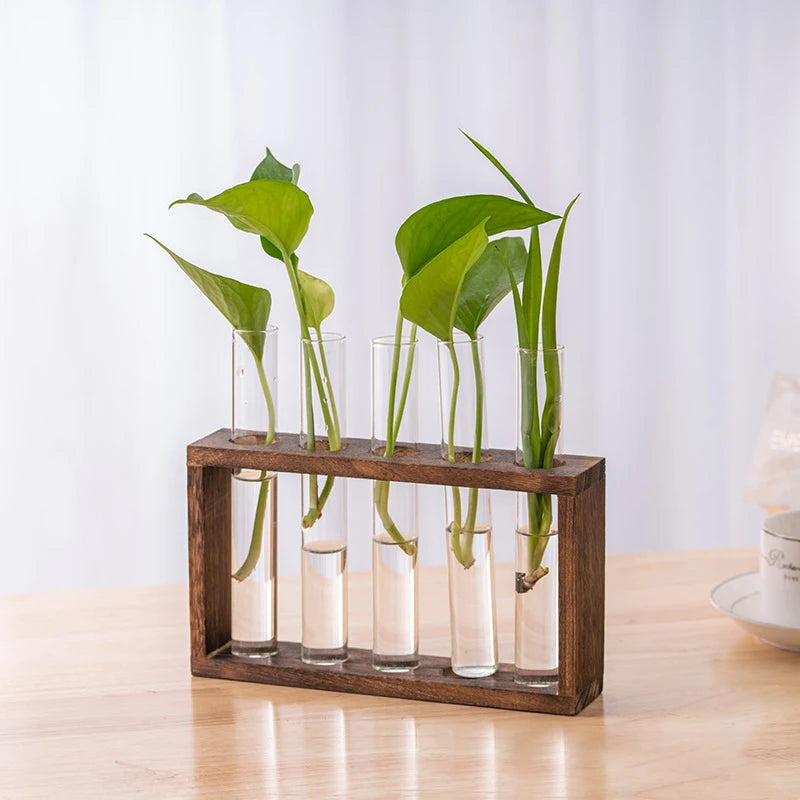 Creative Hydroponic Plants Container with Wooden Frame and Glass Test Tubes