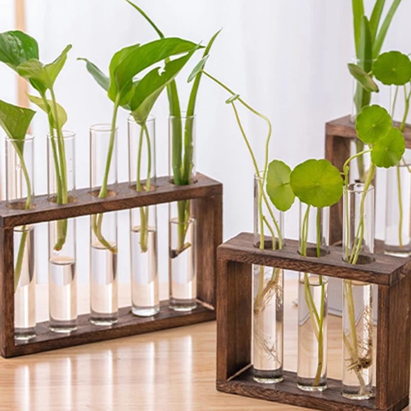 Creative Hydroponic Plants Container with Wooden Frame and Glass Test Tubes